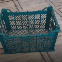 سبد سیب درختی