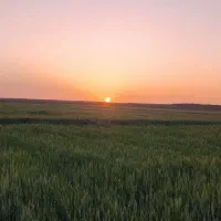 زوج جهت کار در مهمانپذیر