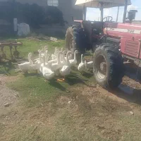 قو غاز