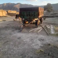 تریلی