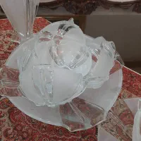 سرویس  پذیرایی اصل چک