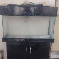 آکواریوم کمد دار