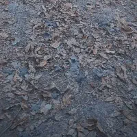 نظافتچی منزل