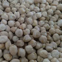 نخود درشت پاک کرده فروش کیلویی