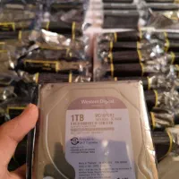 هارد یک ترابایت بنفش شرکتی با یک سال ضمانت