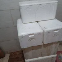 کلمن یونولیت