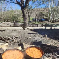 طبیعت گردی باجمع باحال