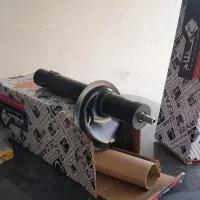 یک جفت کمک جلوپژویی