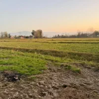 شالیزار یک هکتاری سیاهکل چسبیده به مسکونی|فروش زمین و ملک کلنگی|لاهیجان, آهندان|دیوار