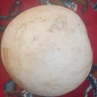 جواهرات  سنگ قدمت  /اصل/الماس نایاب