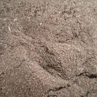 خاک‌اره مرغوب برای ذغال فشرده و کمپست، عمده|خدمات باغبانی و درختکاری|تهران, آرژانتین|دیوار