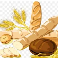 نیازمند یا خانم یا آقا برای پختن نون تنوری هستم