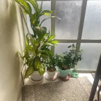 وسایل منزل|حراج|جوانرود, |دیوار