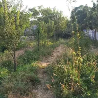 باغ باغچه ۱۰۰۰متری کاشانک اسلامشهر