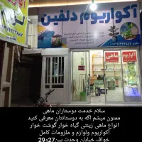 انواع ماهی و آکواریوم گیاه آپارتمانی وآبزی|ماهی|خواف, |دیوار
