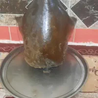 هیزه های نو وسالم