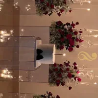 ظروف کرایه بلادی|خدمات پذیرایی، مراسم|گرمدره, |دیوار