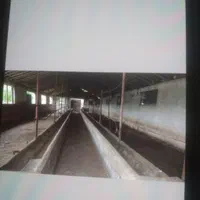 اجاره  دامداری ۱۲۰۰ متری در ابکنار بندر انزلی