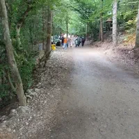 نگهبان و سریداری مجرب