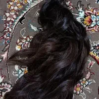 موی نچرال