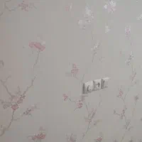 رنگکار ساختمان، نصاب کاغذدیواری|خدمات پیشه و مهارت|باغ ملک, |دیوار