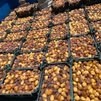 خرید و فروش رطب و خارک