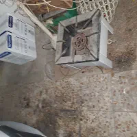 گاز تک شعله