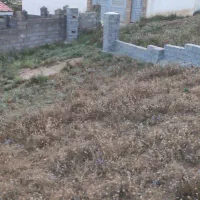 ۴۱۷ متر زمین|فروش زمین و ملک کلنگی|کلاردشت, |دیوار