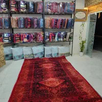 فرش لاکی ۴ متری سیستان و بلوچستان 18|فرش|مشهد, کشف|دیوار