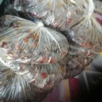 خرما گنطار خضراوی