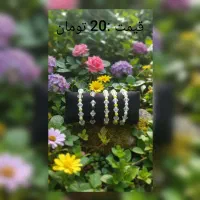 دستبند|بدلیجات|اسفراین, |دیوار