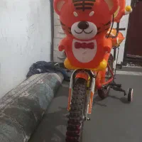 ۲عدد دوچرخ ۱۶