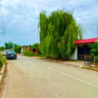 زمین-برای-ساخت-ویلا-ایده-آلتان-در-خطه-مازندران