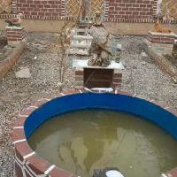 خانه باغ|فروش خانه و ویلا|فیروزه, |دیوار