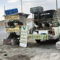 خروس سیاه دفع بلا مرغ سفید جهت قربونی