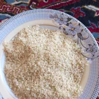 فروش|خوردنی و آشامیدنی|شیراز, جوادیه|دیوار