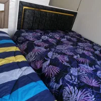 انواع تخت و خوشخواب|تخت و سرویس خواب|سبزوار, مدرس|دیوار