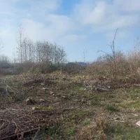 300مترزمین-تجاری-برخیابان-اصلی-منطقه-آزادانزلی