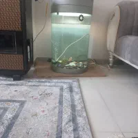 شیشه تمام گرد ۱۰میل