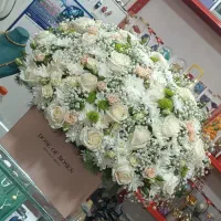 گلسرای محتشم سفارشات پذیرفته میشود|گل و گیاه طبیعی|کوهدشت, |دیوار