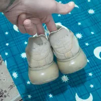 کفش الکساندرمورن|کیف، کفش، کمربند|شیراز, گلکوب|دیوار