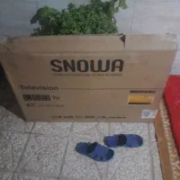 ال ای دی