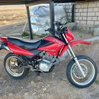 موتور تریل گلد