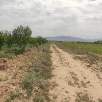 زمین-باغ-و-باغچه