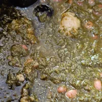 قرمه سبزی سرخ شده