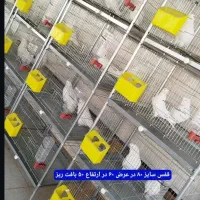 قفس جفتگاه کبوتر