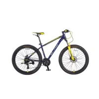 فروش ویژه و محدود دوچرخه کوهستان Blast Enduro