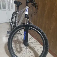 دوچرخه اورلورد ۲۶