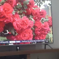 پرستار  خانم مسن ۲۴ ساعته