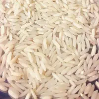 برنج طارم دو نوج